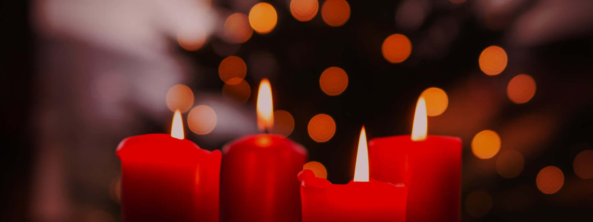 Christmas Services*All Creation Sings*READ MORE